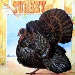 Wild Turkey : Turkey